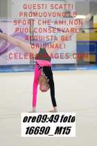 16690_M15-