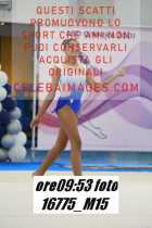 16775_M15-