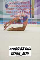 16785_M15-