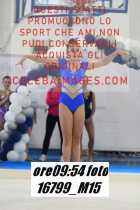 16799_M15-