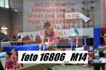 16806_M14