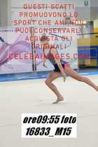 16833_M15-