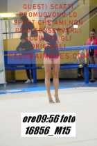 16856_M15-