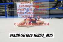 16864_M15-