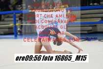 16865_M15-