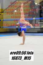 16873_M15-