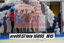 16895_M15-