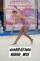16896_M15-