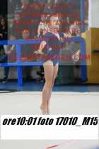 17010_M15-