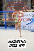 17066_M15-