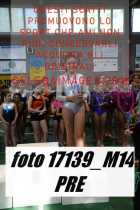 17139_M14-PRE