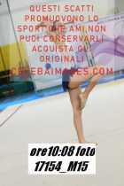 17154_M15-