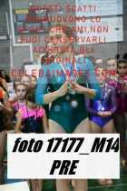 17177_M14-PRE