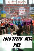 17178_M14-PRE