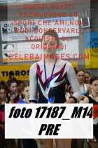 17187_M14-PRE