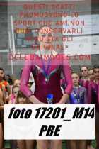 17201_M14-PRE