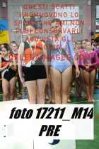 17211_M14-PRE
