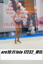 17232_M15-