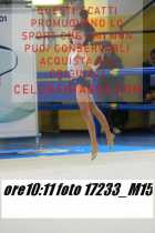 17233_M15-