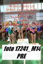 17241_M14-PRE