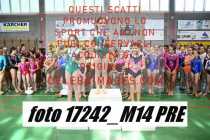 17242_M14-PRE