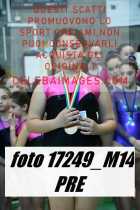 17249_M14-PRE