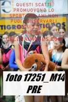 17251_M14-PRE