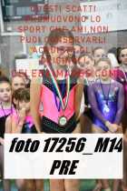 17256_M14-PRE