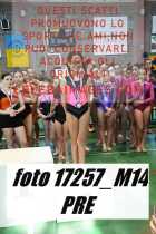 17257_M14-PRE