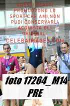 17264_M14-PRE