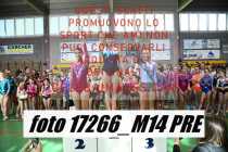 17266_M14-PRE