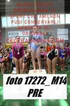 17272_M14-PRE