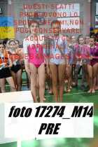 17274_M14-PRE