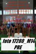 17280_M14-PRE