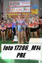 17286_M14-PRE