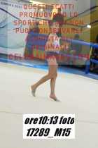 17289_M15-
