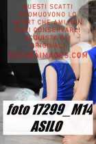 17299_M14-ASILO-