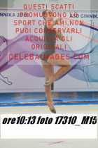 17310_M15-