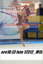 17312_M15-