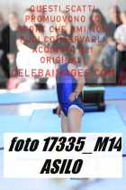 17335_M14-ASILO-