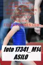 17341_M14-ASILO-