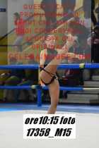 17358_M15-