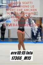 17366_M15-