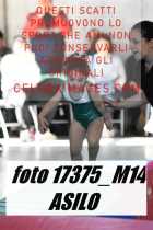 17375_M14-ASILO-