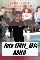 17411_M14-ASILO-