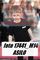 17441_M14-ASILO-