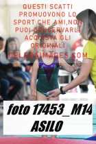 17453_M14-ASILO-
