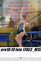 17453_M15-
