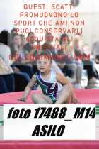 17488_M14-ASILO-