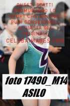 17490_M14-ASILO-